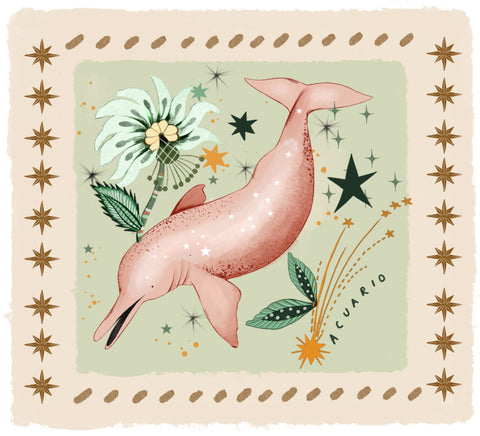 WISDOM BIRD PAÑOLETA ACUARIO