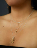 LORENA PESTANA P COLLAR PEZ MOCHE L