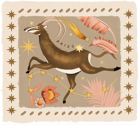 WISDOM BIRD PAÑOLETA ARIES
