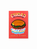 PABLO DIEGO ESTUDIO PIN