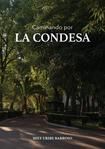 ESTIEL LIBRO CAMINANDO POR LA CONDESA