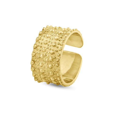SOPHIE HORIZON RING