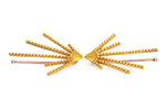 LORENA PESTANA EARRINGS PROJECTION