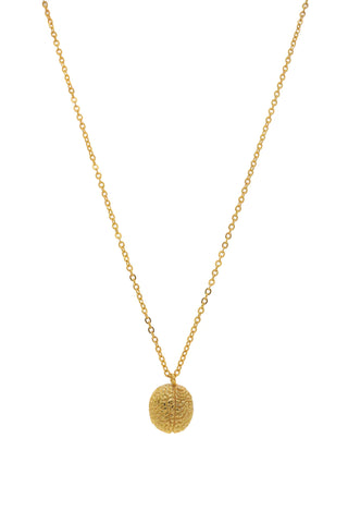 SOPHIE SIMONE COLLAR CEREBRO GOLD